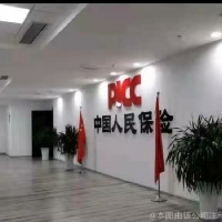 中国人民保险集团